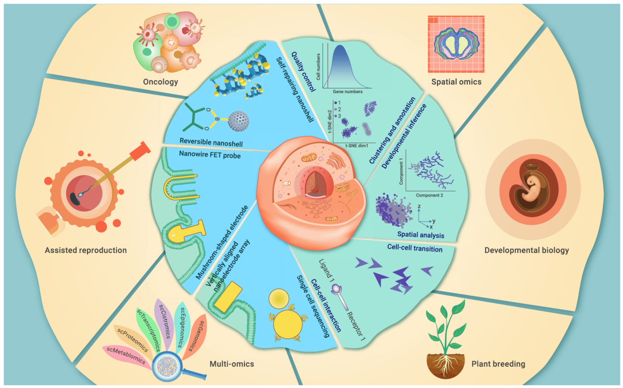 單細(xì)胞測(cè)序的應(yīng)用