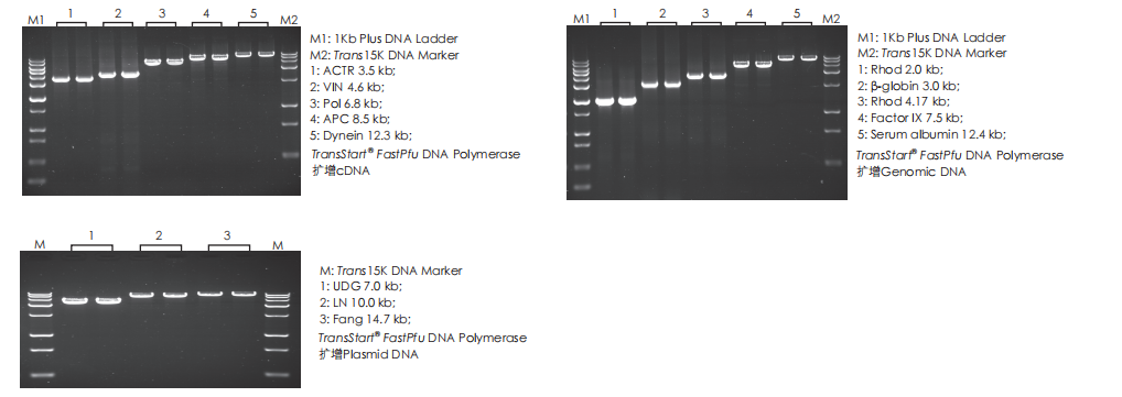 數(shù)據(jù)展示