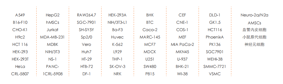 TransSerum? FQ Fetal Bovine Serum 成功培養(yǎng)的細(xì)胞