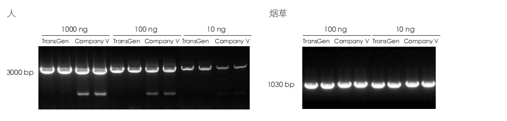 PCR 檢測