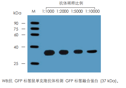 數(shù)據(jù)展示 數(shù)據(jù)展示