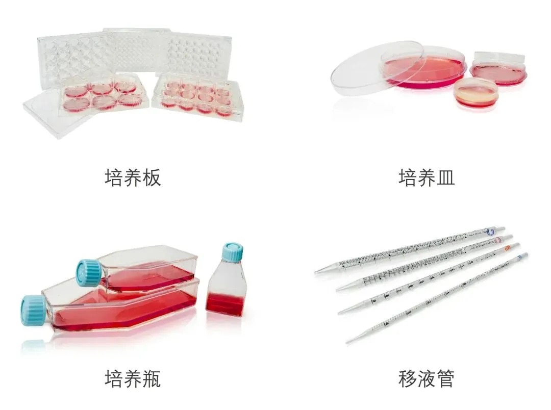 細胞培養(yǎng)相關(guān)耗材.jpg