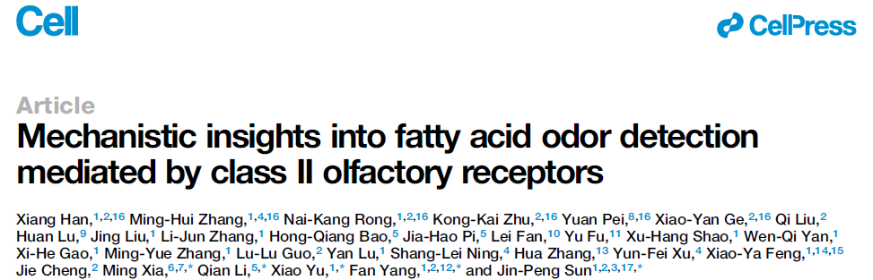 Mechanistic Insights into Fatty Acid Odor Detection Mediated by Class II Olfactory Receptors